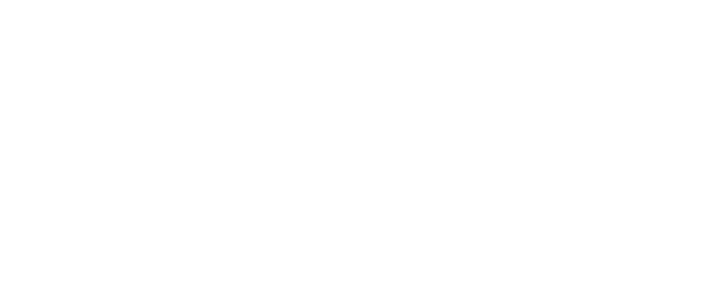EcomCFO logo