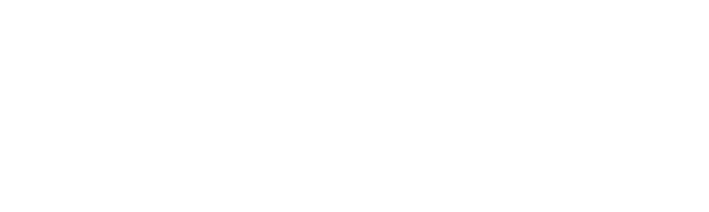 A2X accounting partners - Elver E-commerce